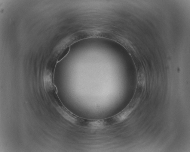 X0000071790238200606301253