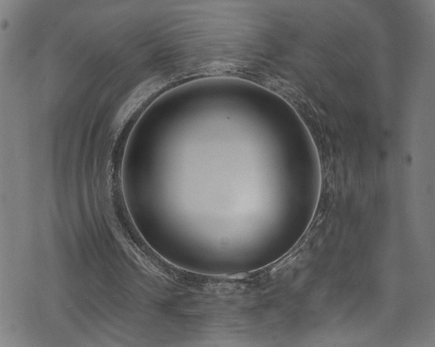 X0000071790242200606301252