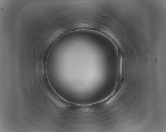 X0000071790253200606301252