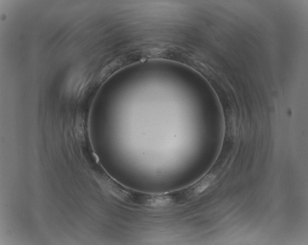 X0000071790274200606301252