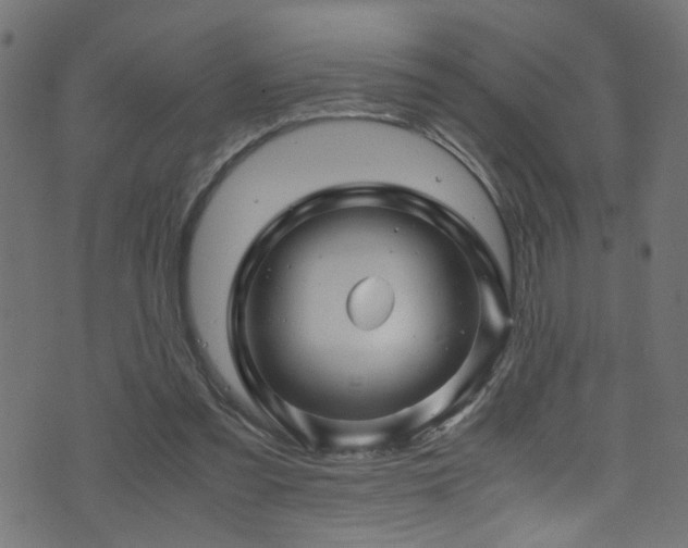 X0000071790301200606301252