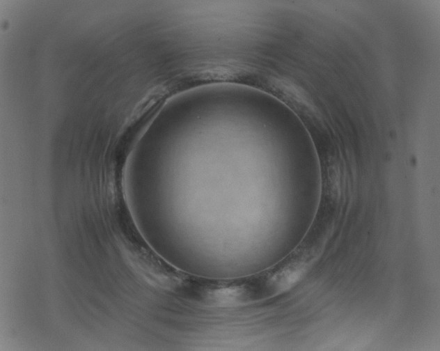 X0000071790312200606301251