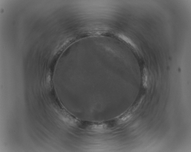 X0000071790314200606301251