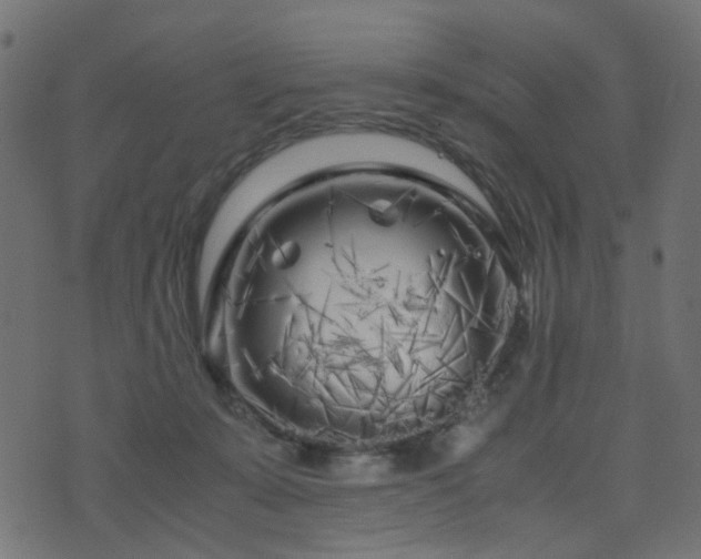 X0000071790319200606301251