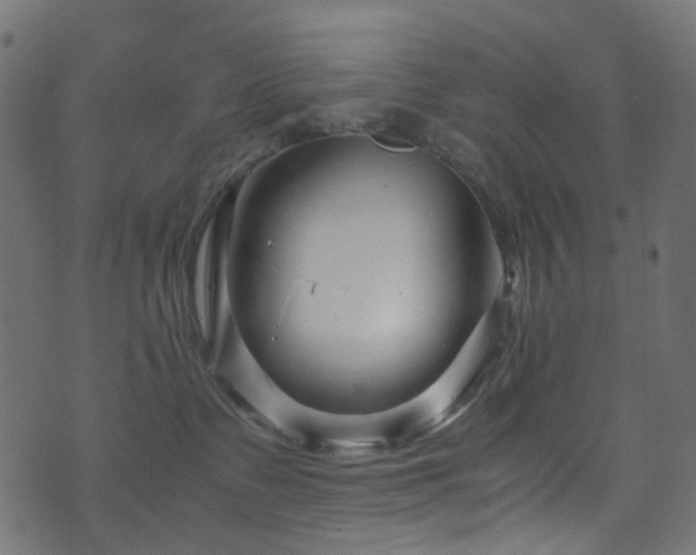 X0000071790335200606301251