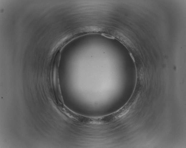 X0000071790352200606301250