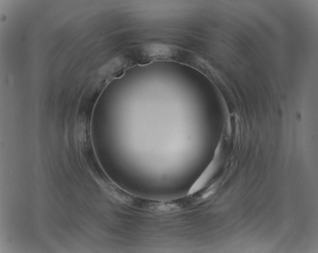 X0000071790379200606301251