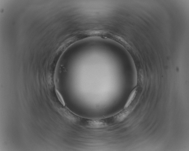 X0000071790380200606301251