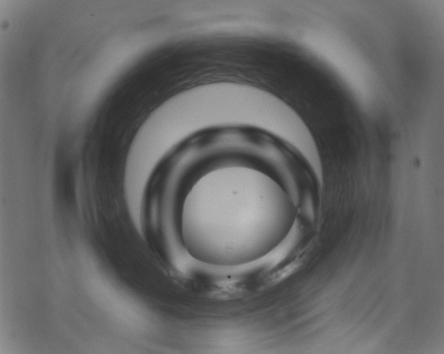 X0000071790382200606301251