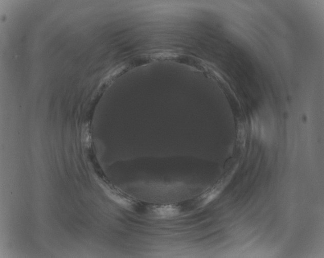 X0000071790383200606301251