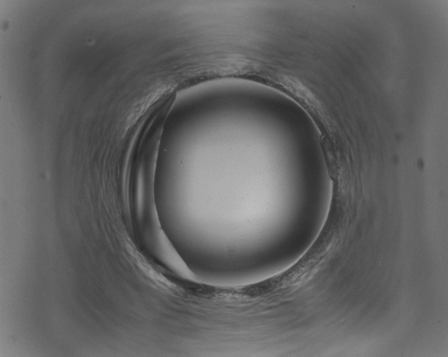 X0000071790393200606301250