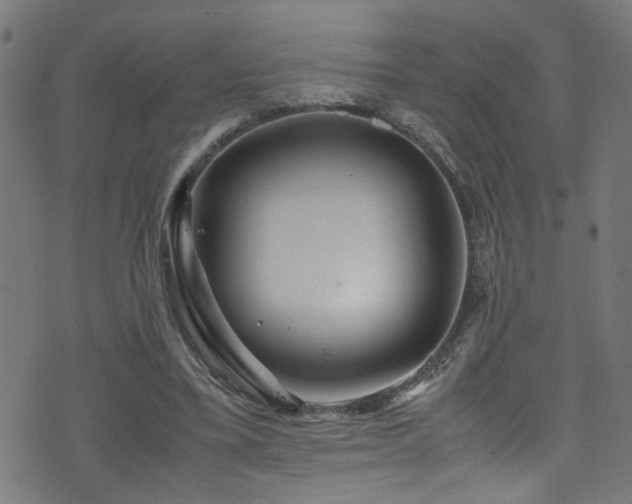 X0000071790395200606301250