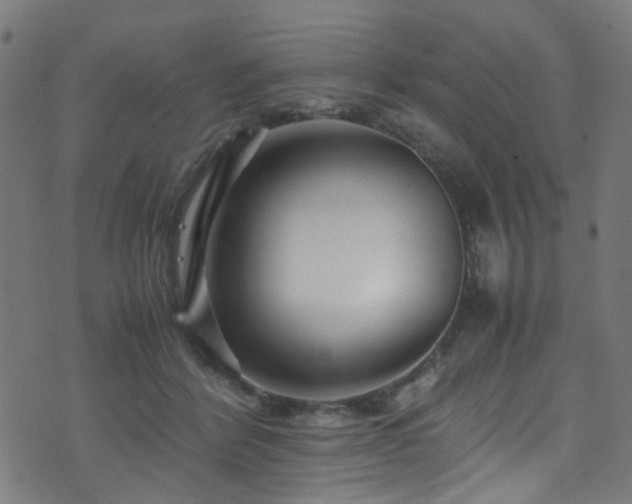 X0000071790412200606301250