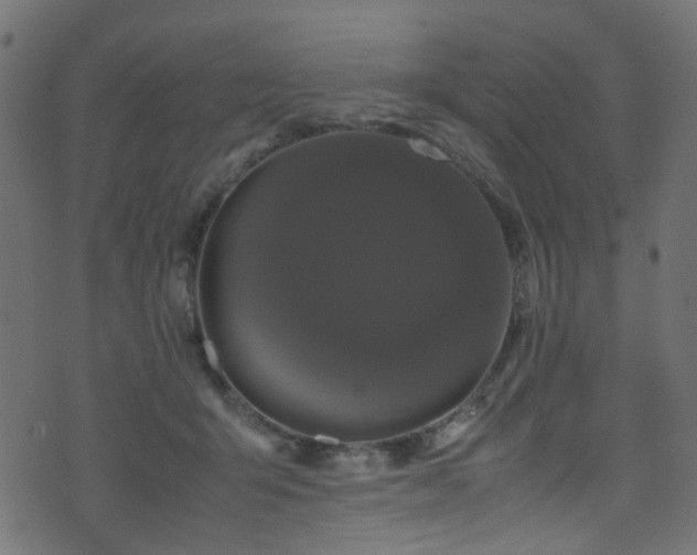 X0000071790415200606301250