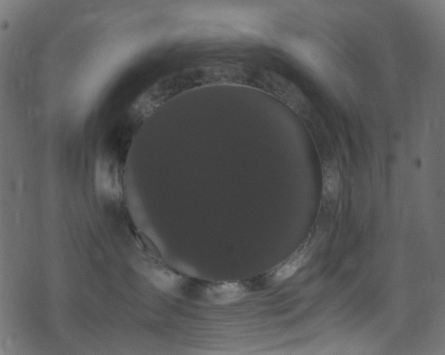 X0000071790431200606301249