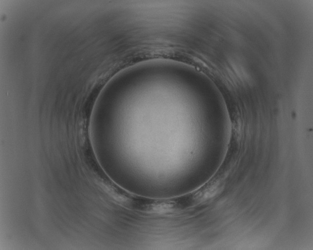 X0000071790462200606301249
