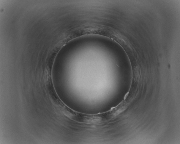 X0000071790463200606301249