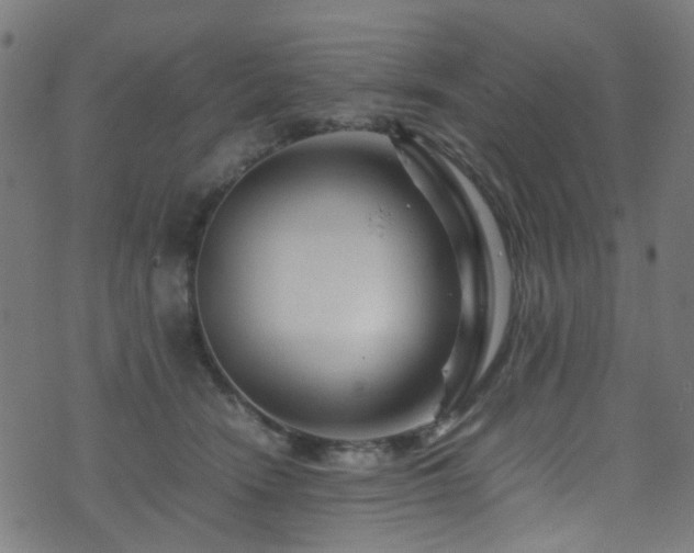 X0000071790466200606301249