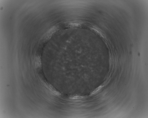 X0000071790467200606301249