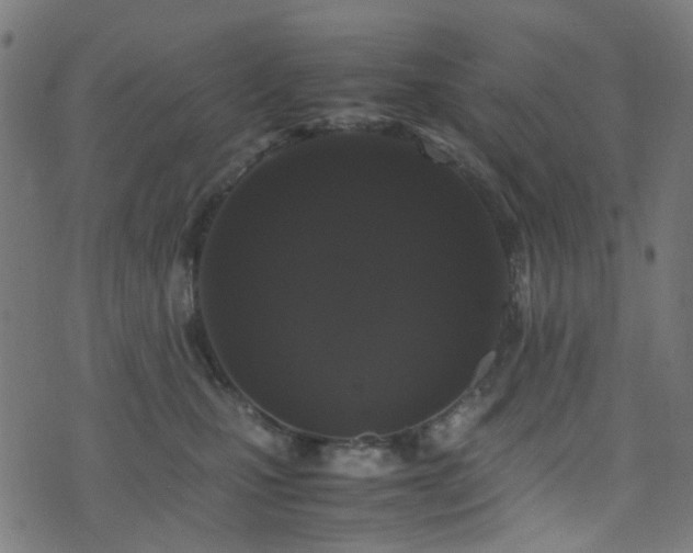 X0000071790471200606301249