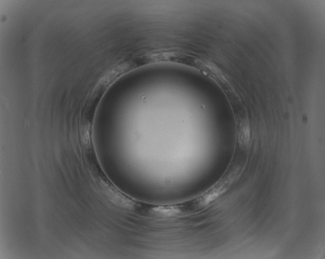 X0000071790477200606301249