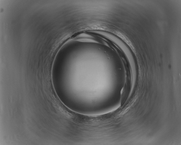 X0000071790481200606301249