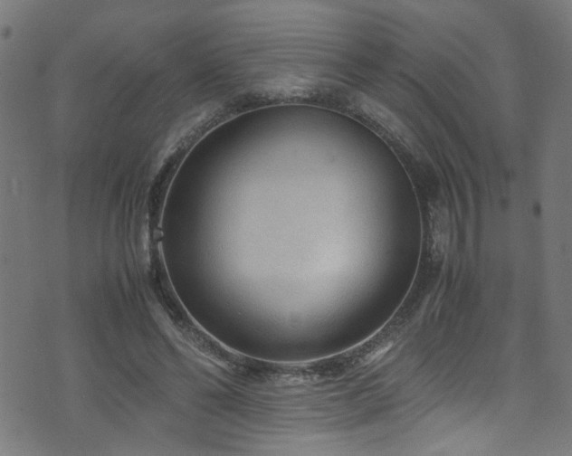 X0000071790494200606301248