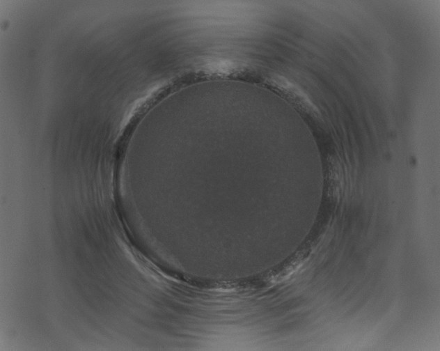 X0000071790496200606301248