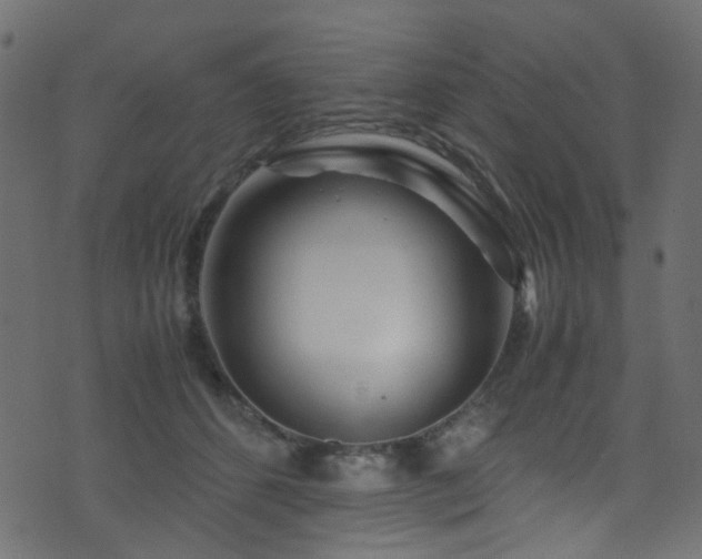 X0000071790512200606301248