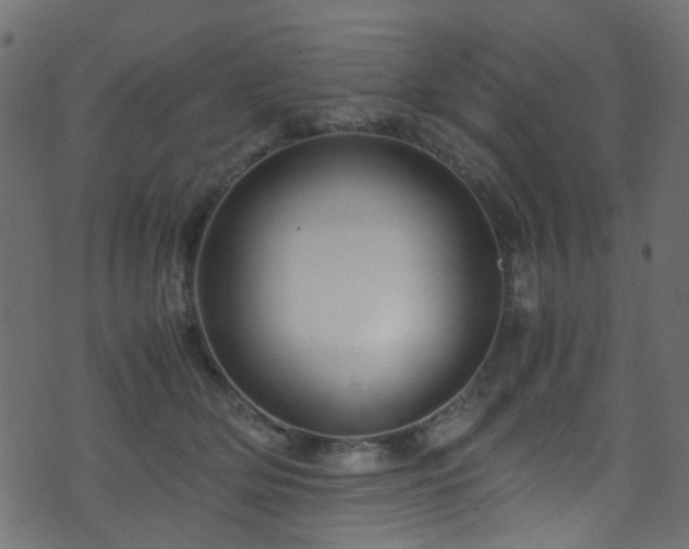 X0000071790514200606301248