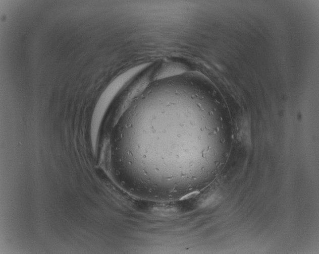 X0000071790515200606301248