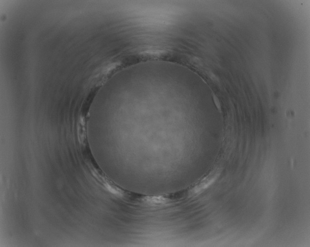 X0000071790528200606301248