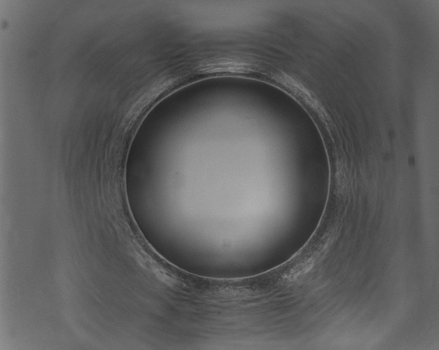 X0000071790529200606301247