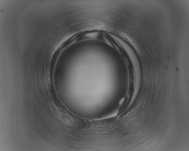 X0000071790532200606301247