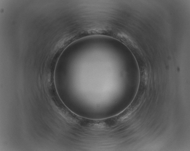 X0000071790548200606301247