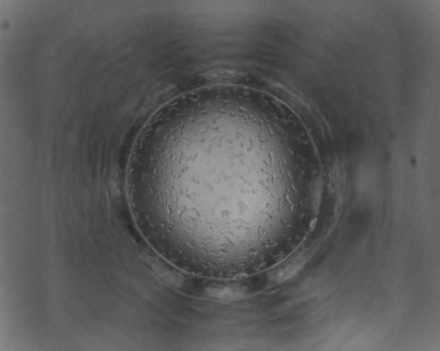 X0000071790561200606301248