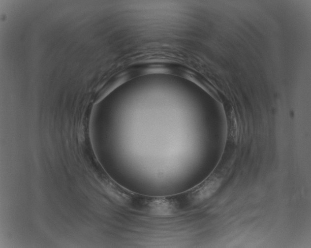 X0000071790562200606301248