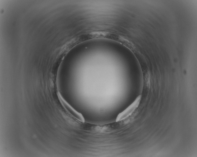 X0000071790570200606301248