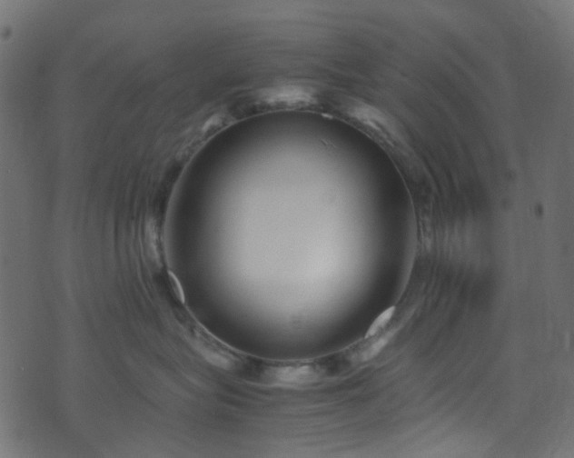 X0000071790575200606301248
