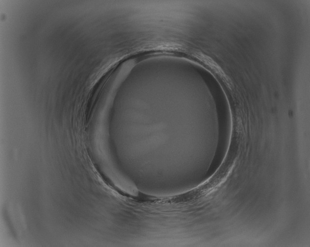 X0000071790577200606301247