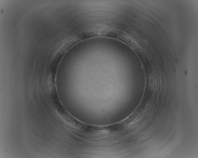 X0000071790594200606301247