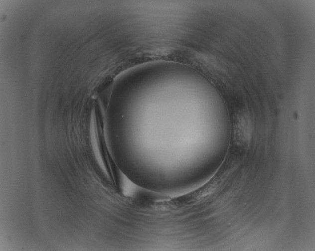 X0000071790608200606301247