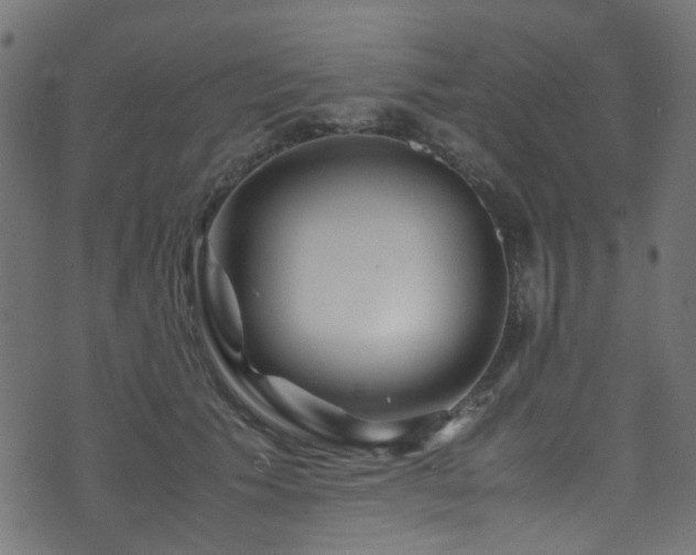X0000071790609200606301247