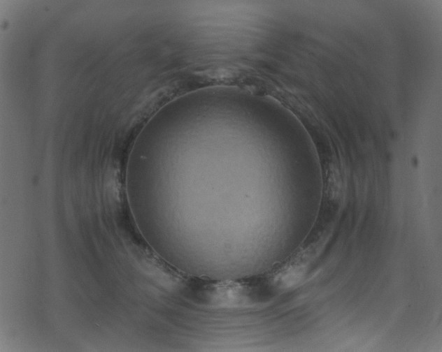X0000071790612200606301247