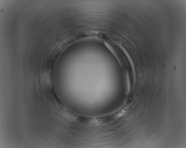 X0000071790616200606301247