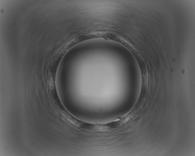 X0000071790617200606301246
