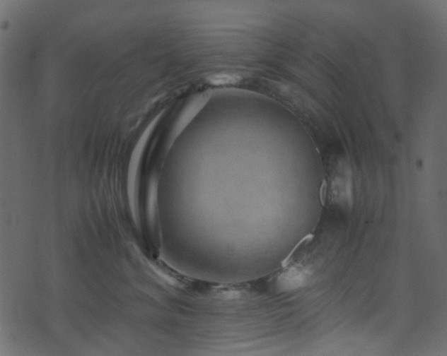 X0000071790620200606301246