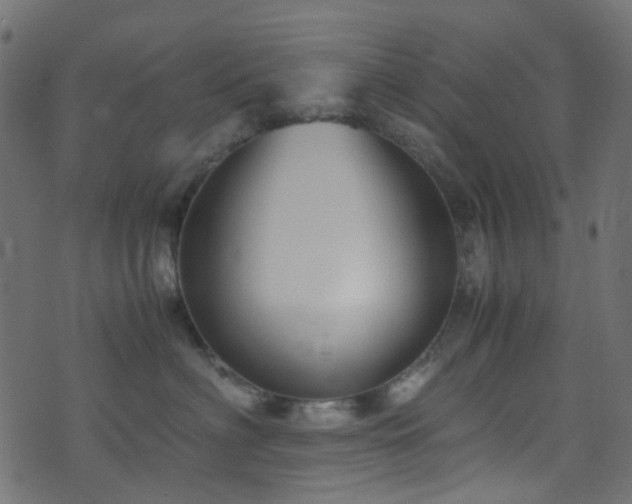 X0000071790622200606301246