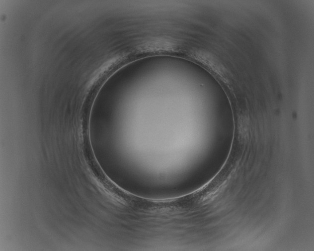 X0000071790629200606301246