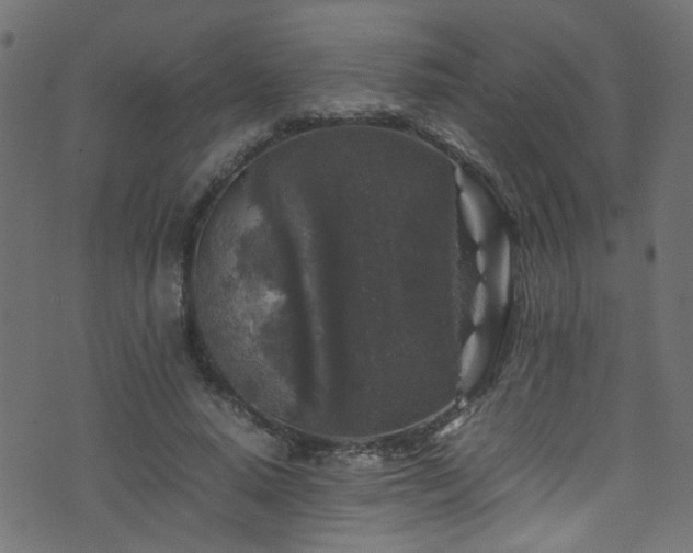 X0000071790640200606301246